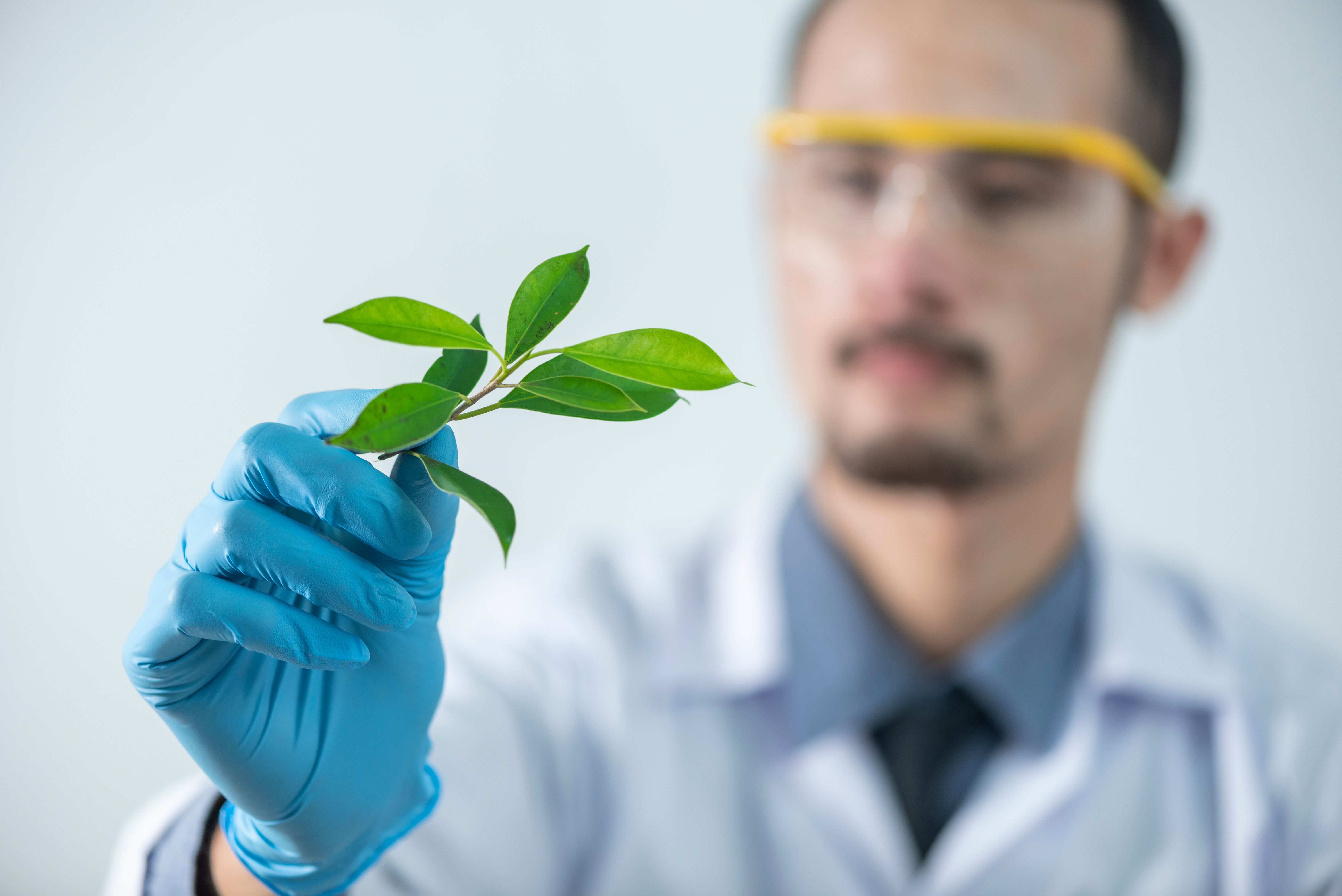 Department of Food Science and Technology