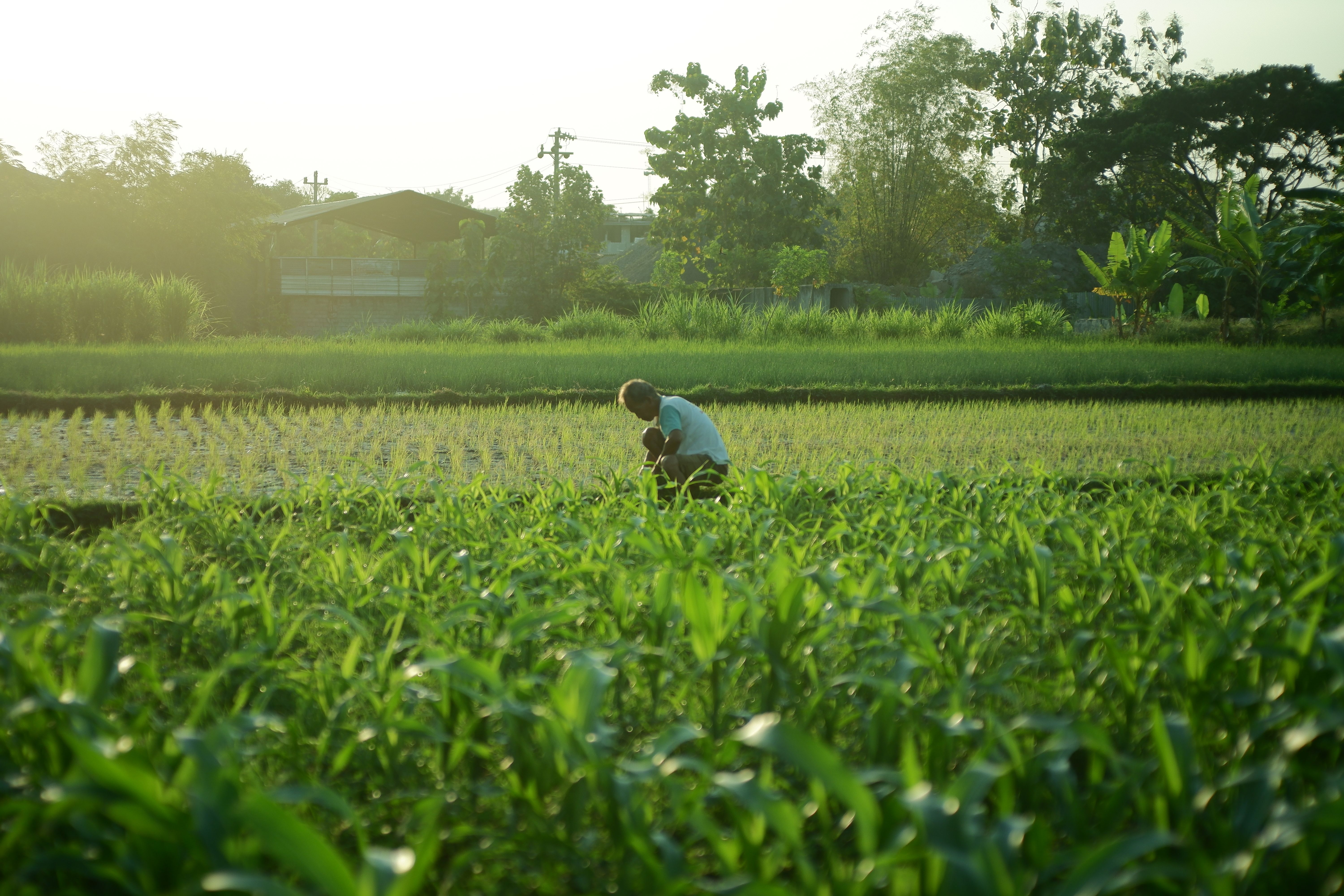 Department of Rural Development Science